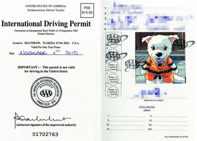 International Driving Permit